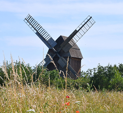 Die hölzerne Bockwindmühle steht hinter einem Getreidefeld.